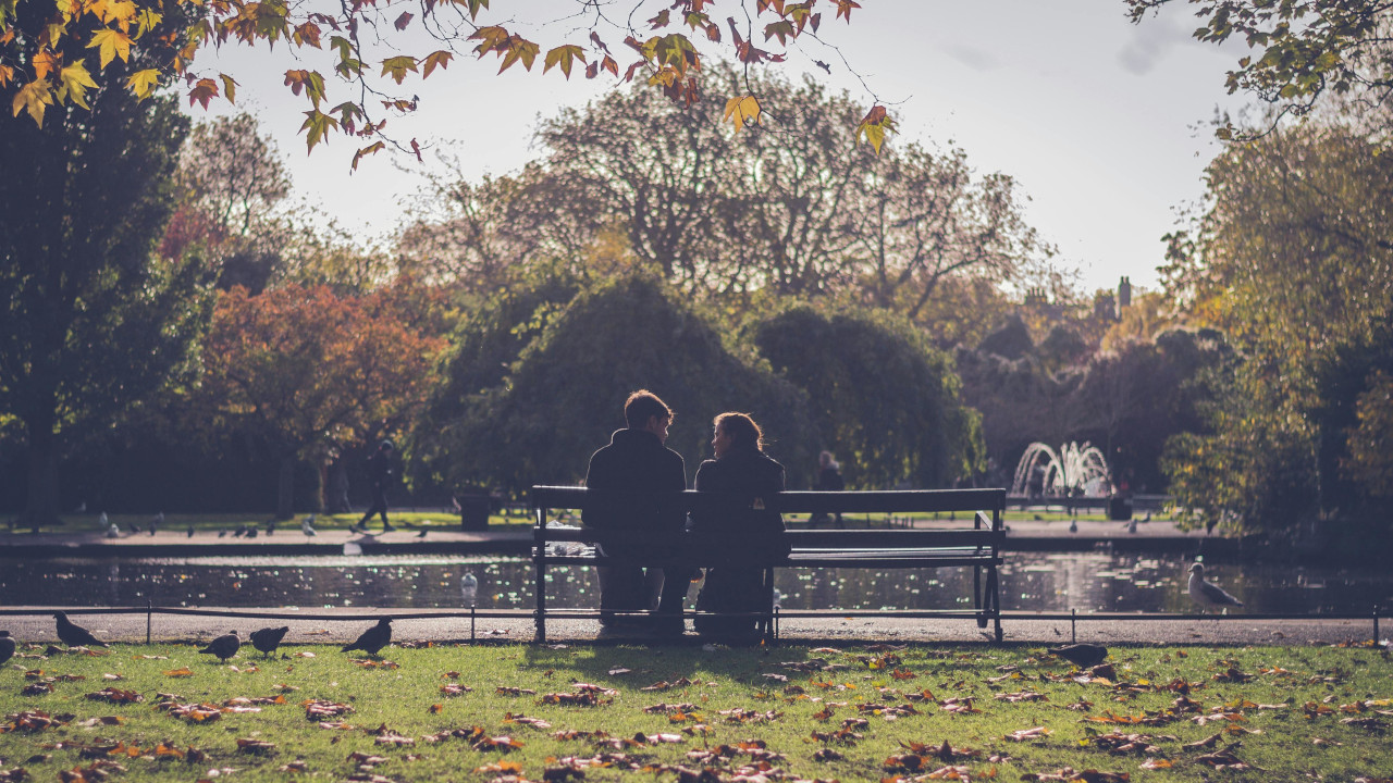 Пара сидит на лавочке перед прудом