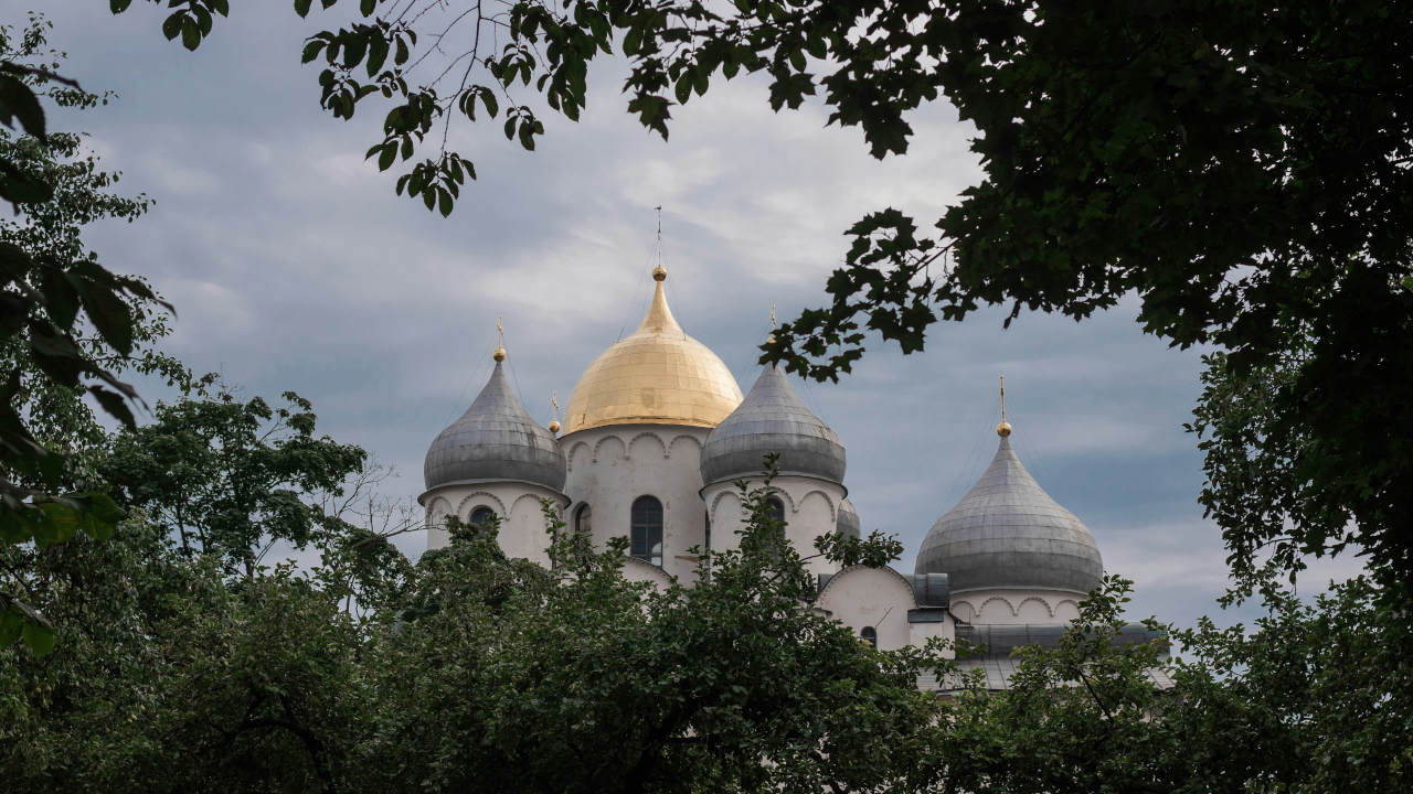 Церковные купола виднеются сквозь ветви деревьев