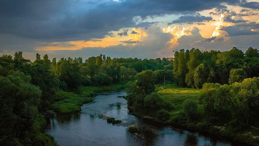 Берег реки поросший лесо