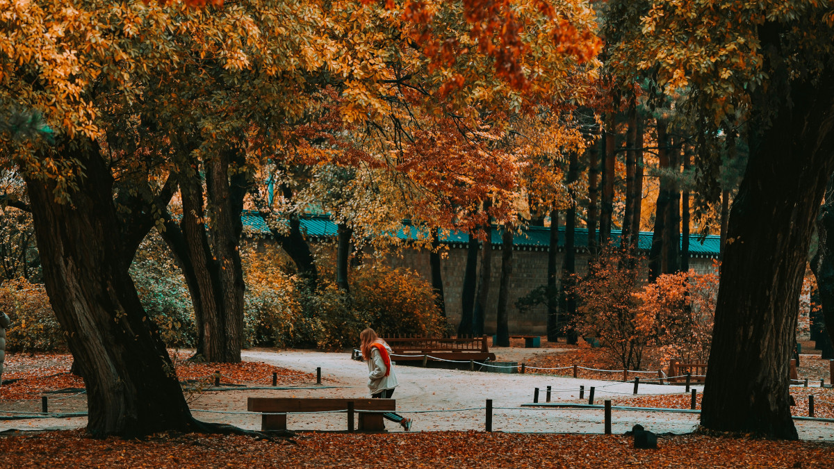 Осень в парке