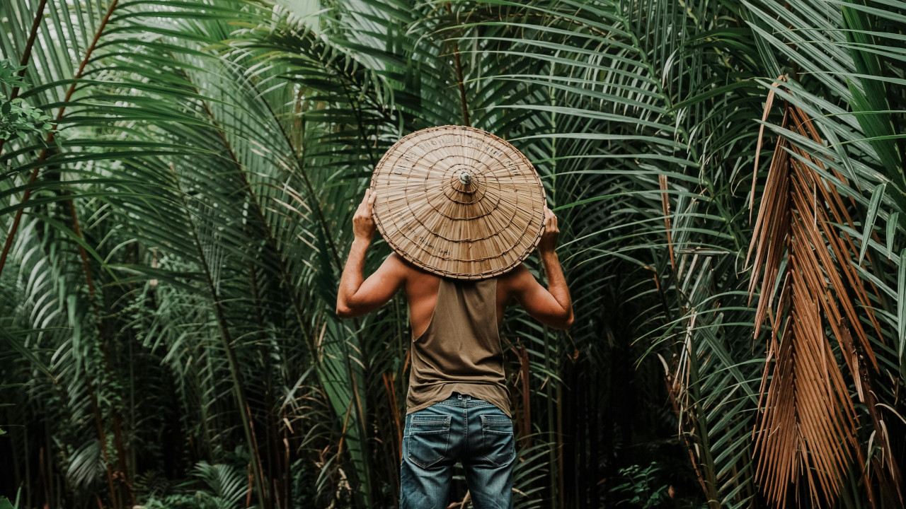 Мужчина смотрит на бамбуковый лес