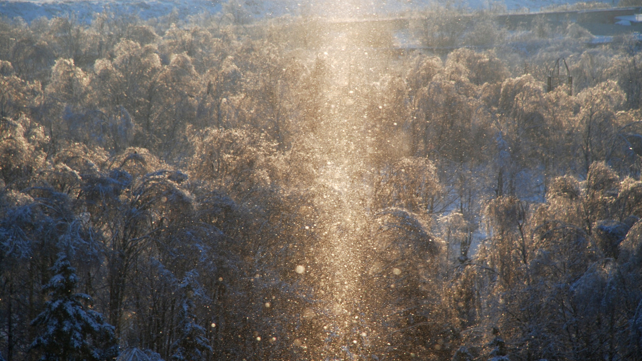 Солнечный луч над снежным лесом