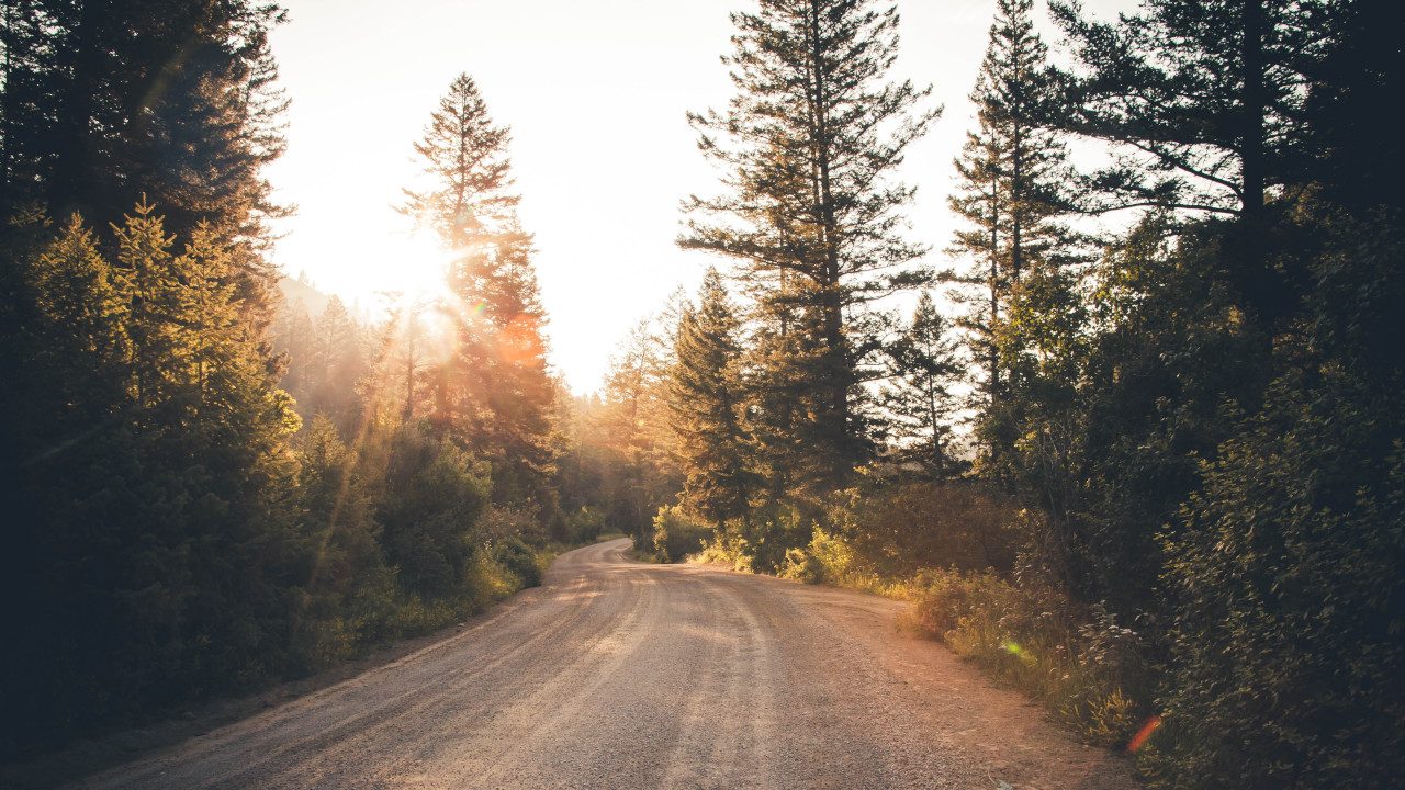 Дорога через осенний лес