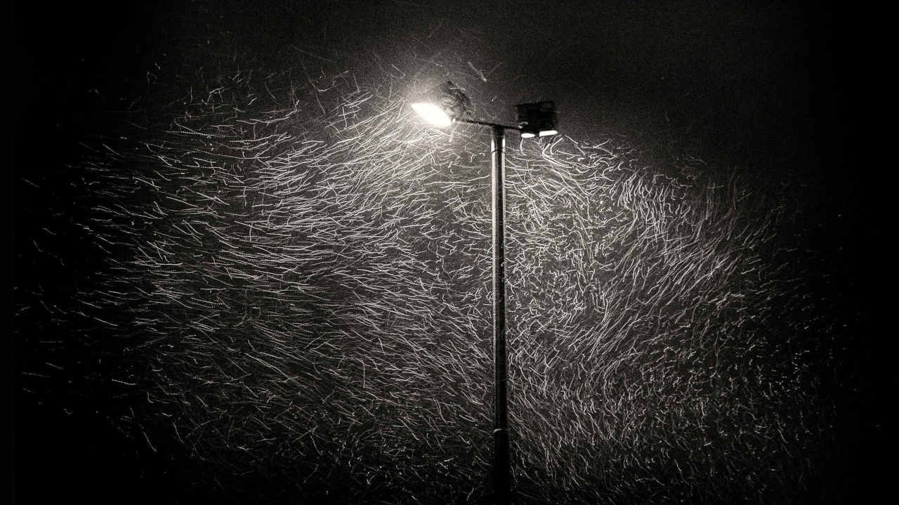 Снегопад в свете фонаря