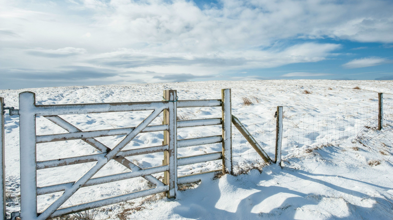Изгородь на заснеженном поле
