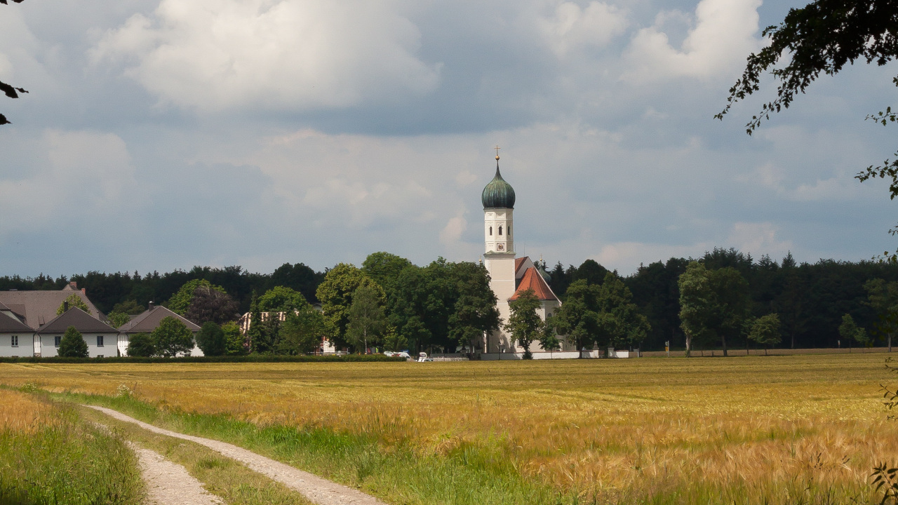 Белокаменная колокольня возвышается над лесом