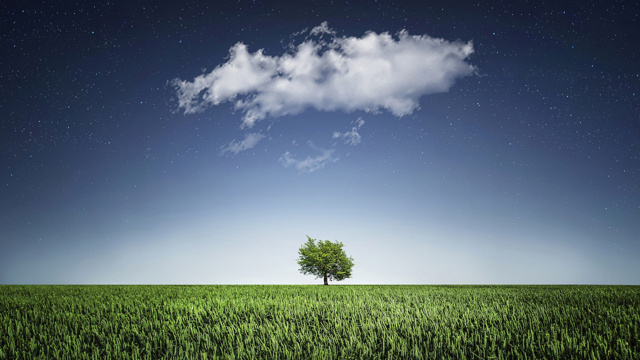 Дерево в поле: под белым облаком