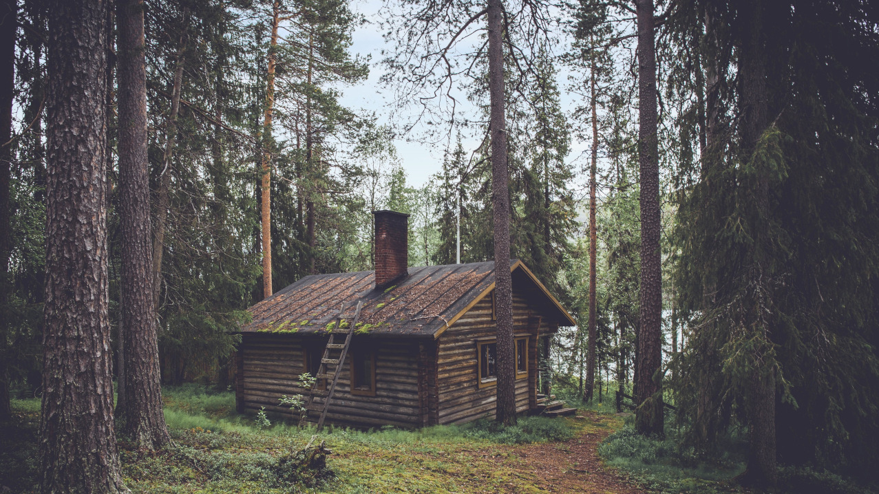 Избушка в сосновом лесу