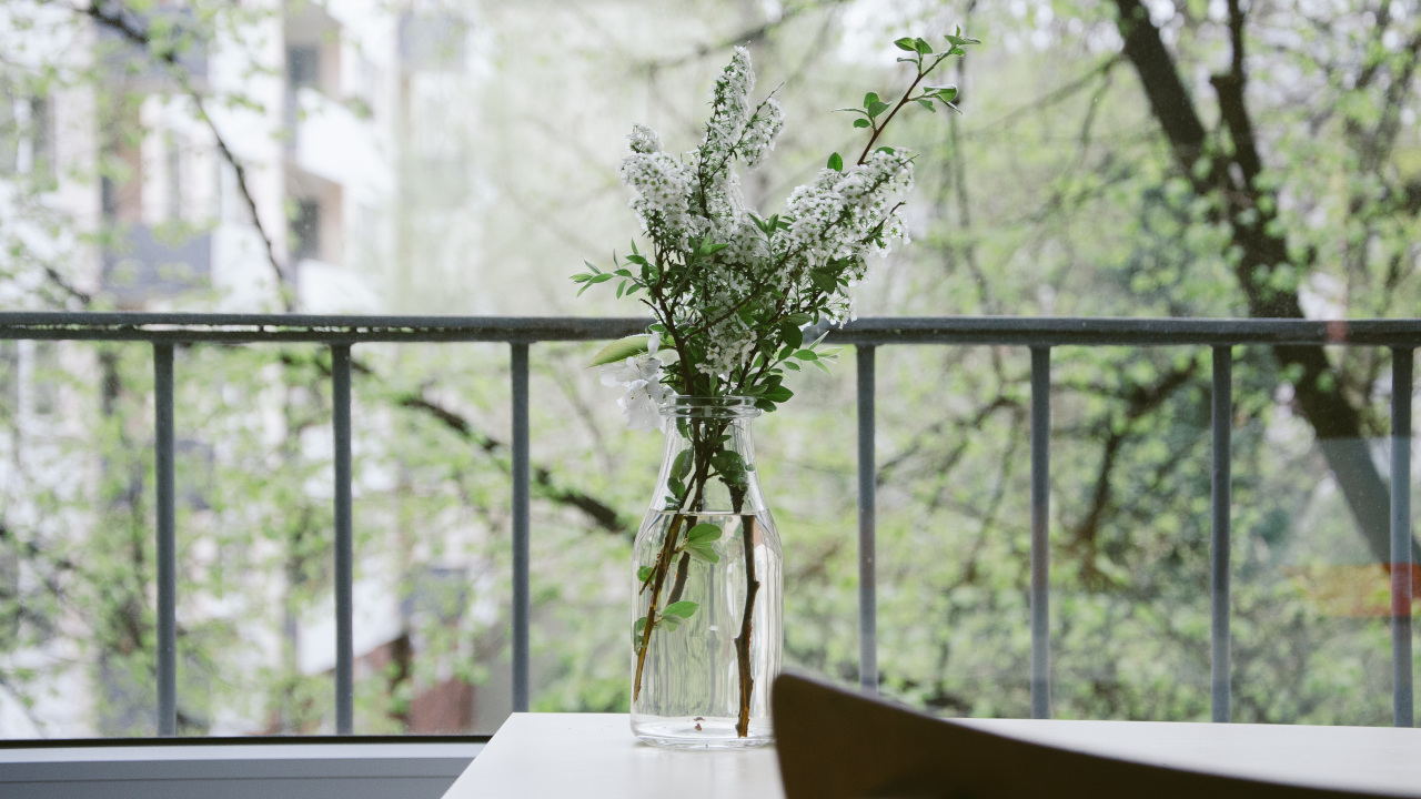 Цветущие ветки черёмухи в вазе, стоящей на столе у окна