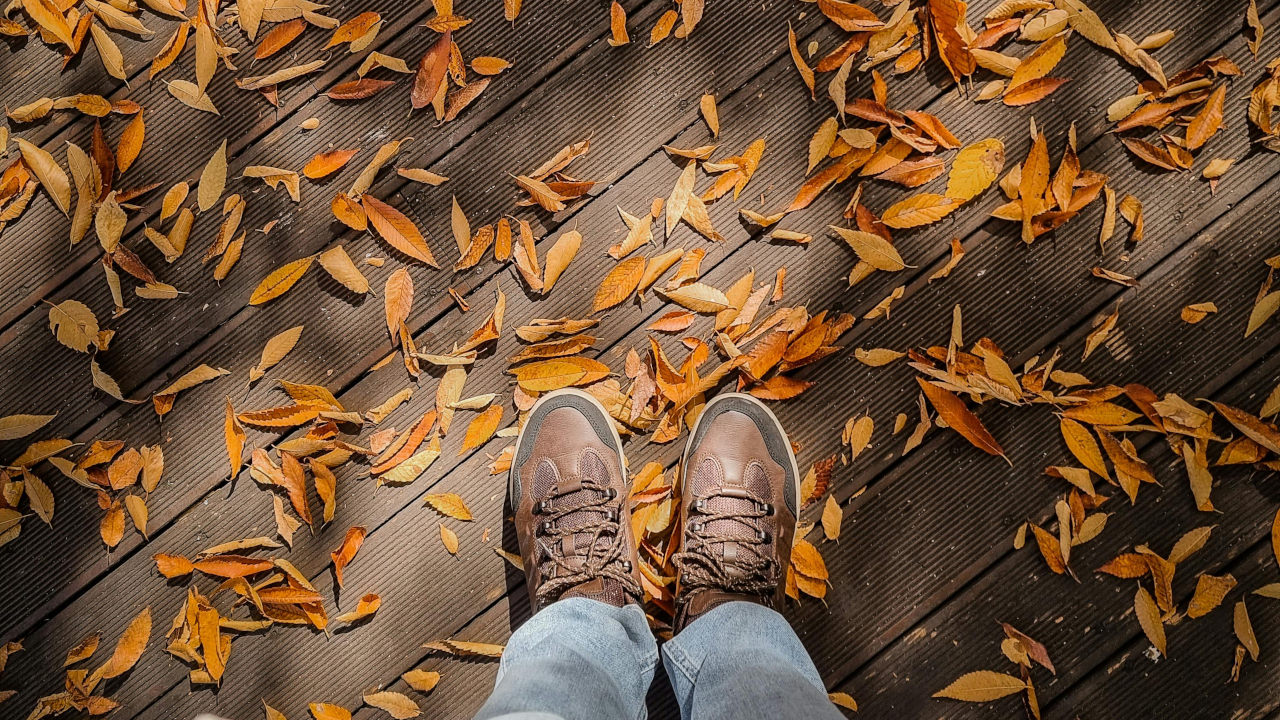Фото листьев под ногами