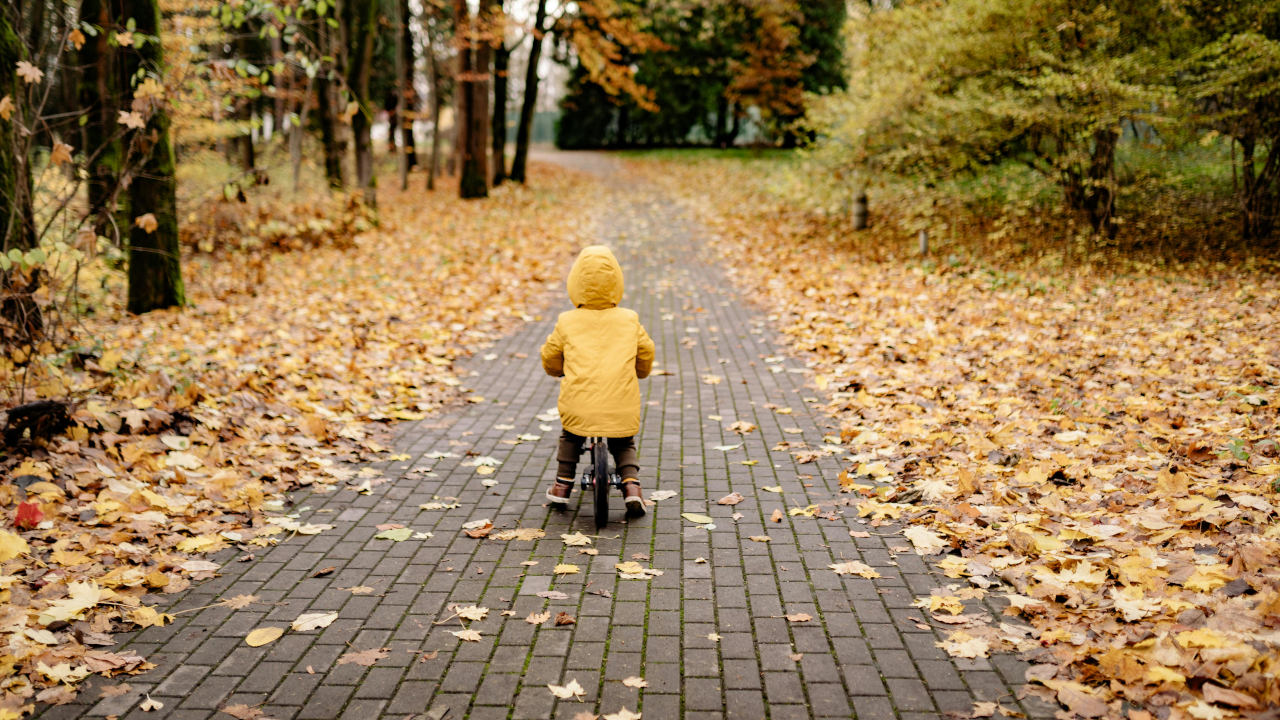 Ребенок на велосипеде в осеннем парке