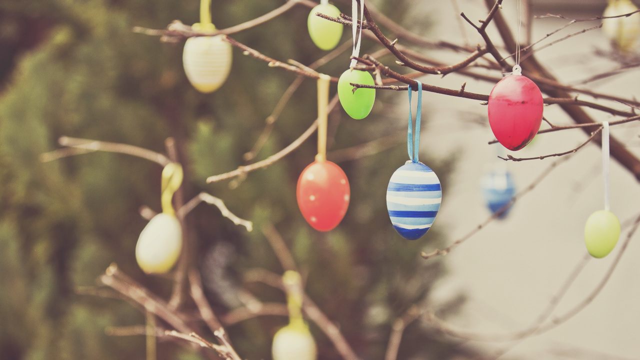 Ветки дерева украшенные пасхальными яйцами